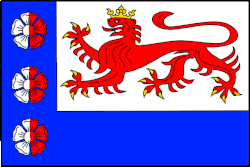 Drapeau de Vidice