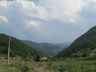 Gnila