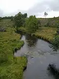 La Vienne sur le plateau de Millevaches.