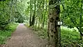 Forêt de feuillus