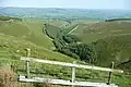 Boisement insularisé en fond de vallon (Cwm yr Annell, Royaume-Uni) : l'hydromorphie, la raideur des pentes peut participer au maintien de parcelles forestières