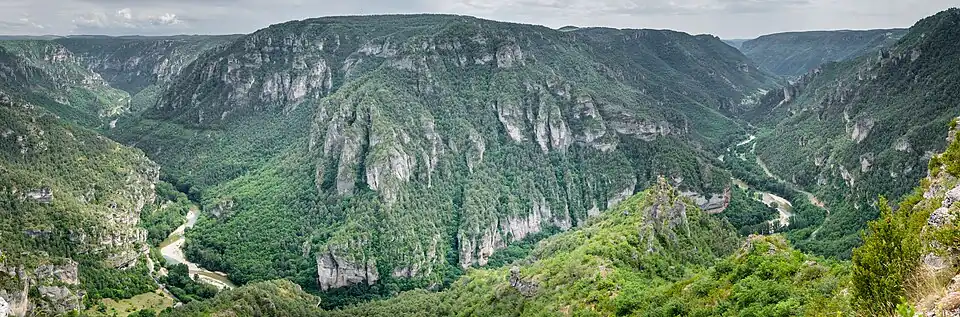 Les gorges du Tarn, vues depuis le Point sublime.