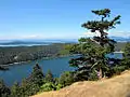 Vue de l'île du Nord
