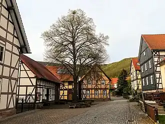 Lindewerra