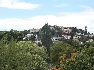 Rózsadomb