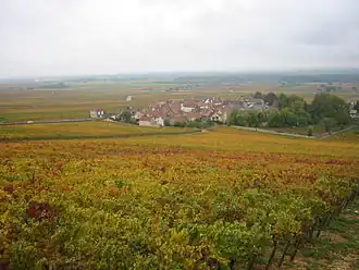 Morey-Saint-Denis.