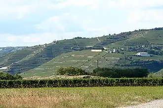 Image illustrative de l’article Collines-rhodaniennes