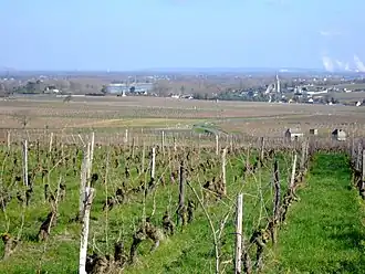 Souzay-Champigny