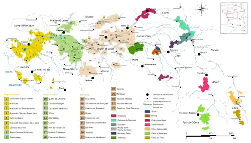 Vignoble du Val de Loire.