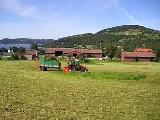 Sveio