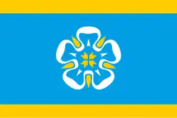 Drapeau de Viljandi