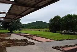 Site.