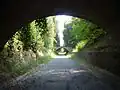 Voie dans le parc.