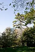 Parc de la villa Guiccioli