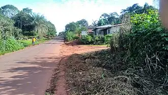 Ngoya
