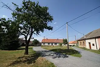 Smrk
