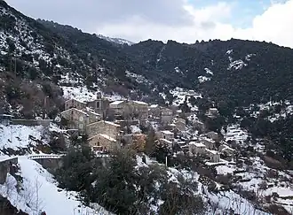Cargiaca.