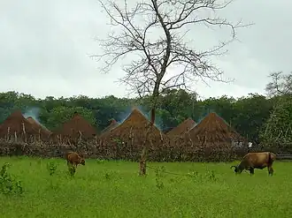Bula (Guinée-Bissau)
