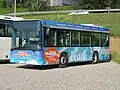 Photographie en couleurs d’un midibus aux couleurs des lignes des plages.