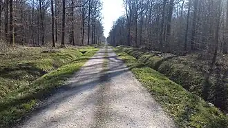 Image illustrative de l’article Forêt de Villefermoy