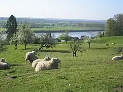 La Seine.