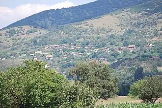 Vintsé
