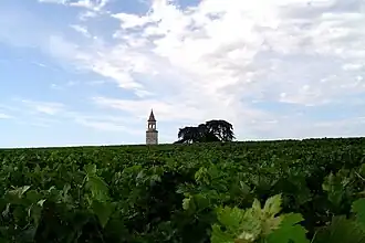 Image illustrative de l’article Haut-médoc