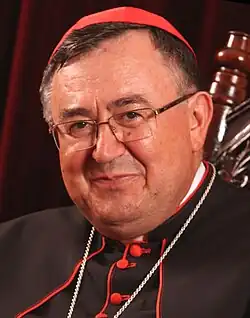 Image illustrative de l’article Vinko Puljić