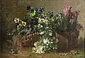 Violettes et jacinthes en pots