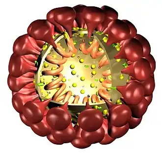Description de l'image Vis2.jpg.