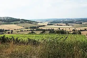 Image illustrative de l’article Coteaux-de-l'Auxois
