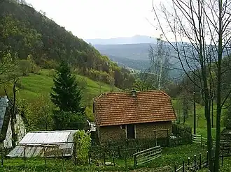 Gornje Međuše