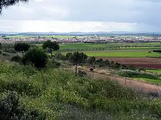 Miguelturra