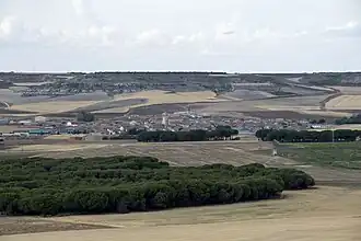 Bercero