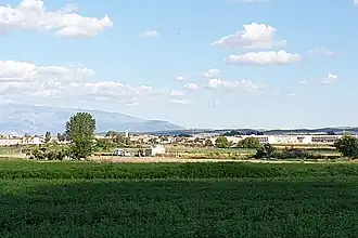 Cijuela