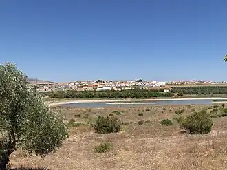 Fuente de Piedra