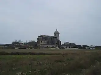 Támara de Campos