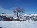 Une vue de la vallée del Verrino.