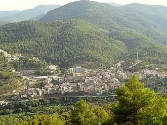 Suera