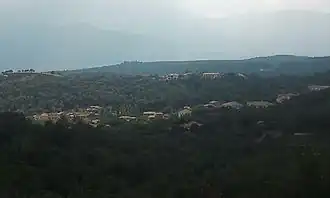 Vivès