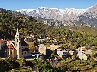 Vivario