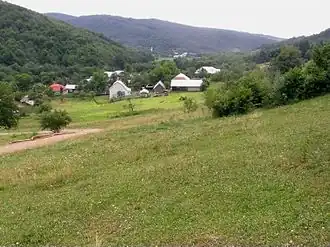 Vladiča