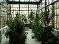Jardin d'Hiver