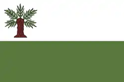 Drapeau de Vidnava