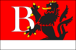 Drapeau de Bludov