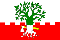 Drapeau de Buk