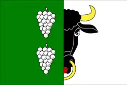 Drapeau de Křepice
