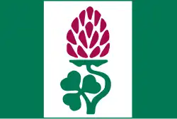 Drapeau de Lány