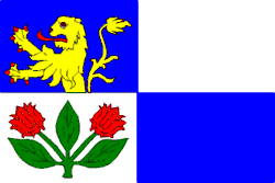 Drapeau de Bukovina u Čisté