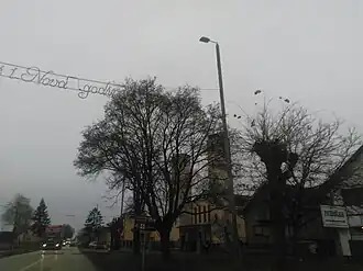 Vođinci